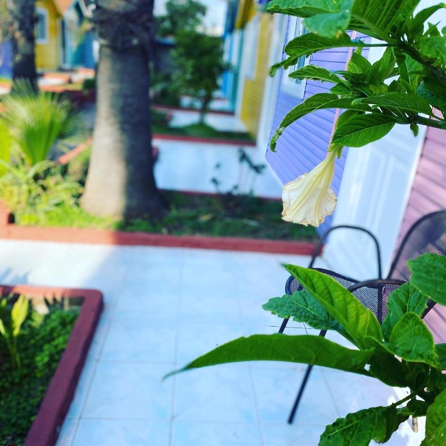 Cuba Beach Hotel シダ エクステリア 写真